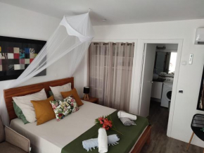 Sublime appartement anse des rochers avec cuve tampon
